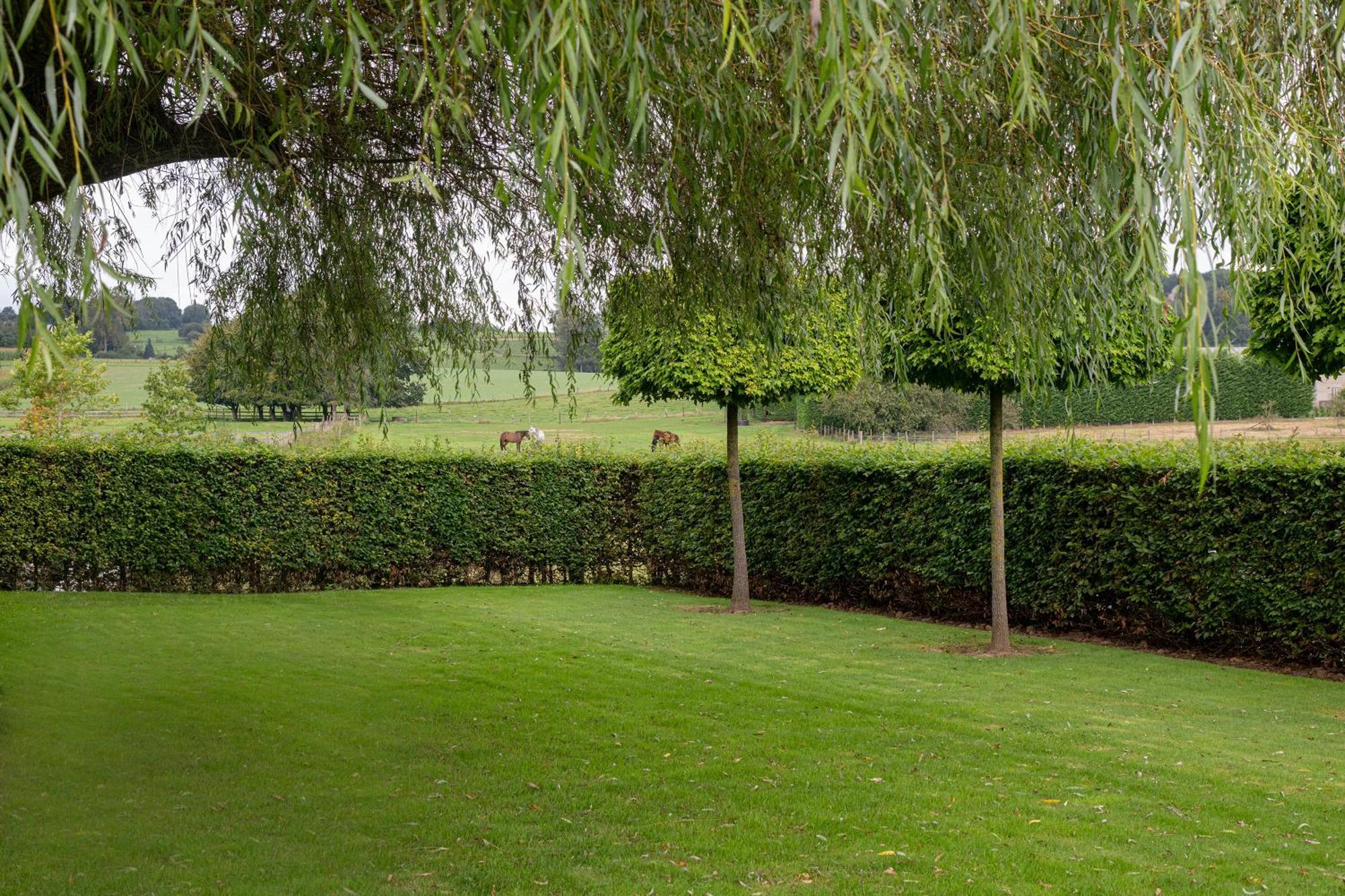 B&B Bertem Natuur Exterior photo